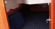 Cruiser 37 - Guest cabin